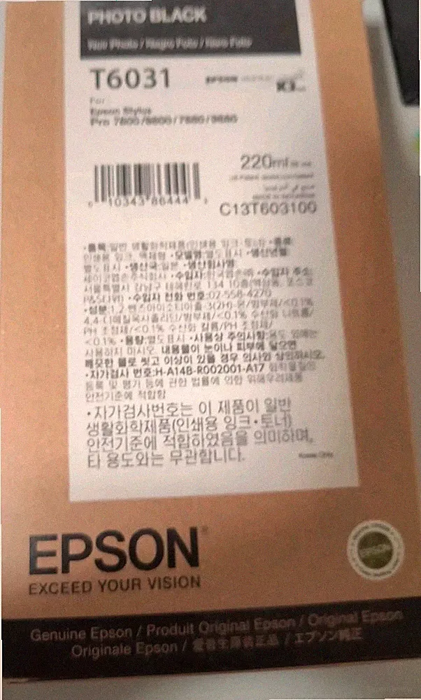 Epson C13T603100 (T603100) Photo Black Stylus Ink Cartridge,Ex 2023